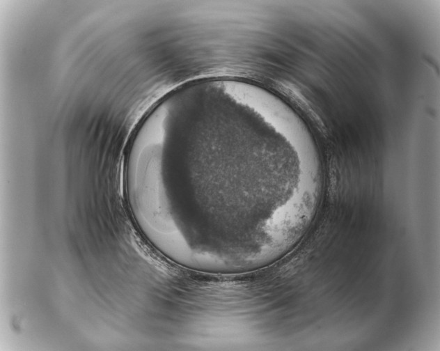 X0000102521276200808291748