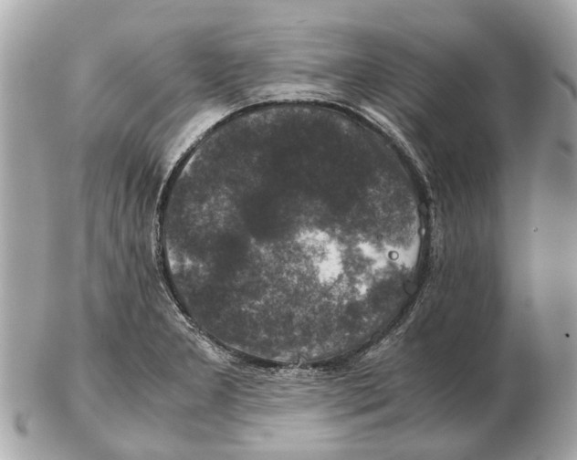 X0000102521277200808291748