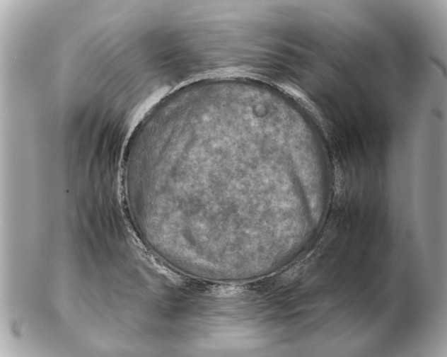 X0000102521278200808291748