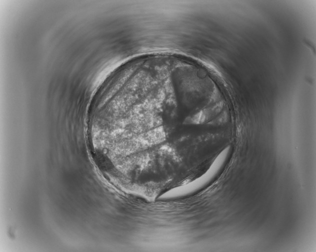 X0000102521279200808291748