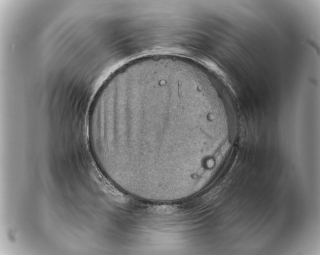 X0000102521280200808291748