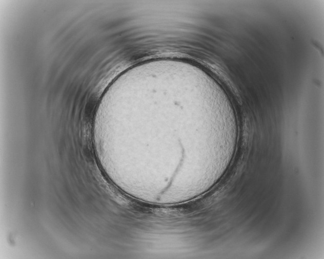 X0000102521281200808291748