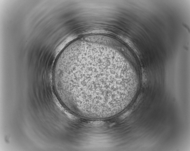 X0000102521282200808291748