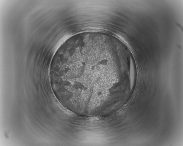 X0000102521283200808291748