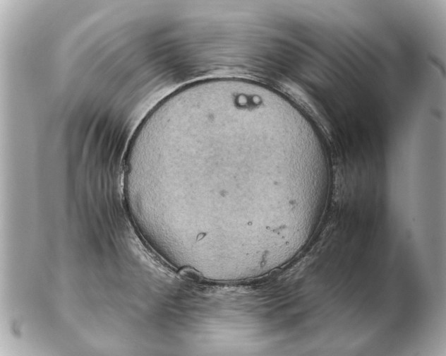 X0000102521284200808291748