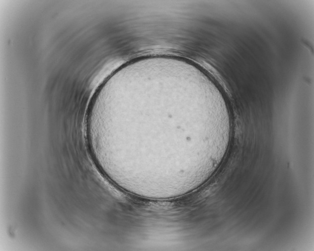 X0000102521285200808291748