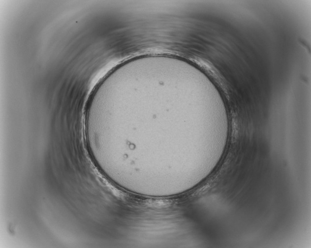 X0000102521286200808291748