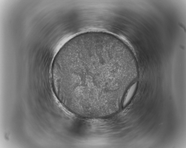 X0000102521287200808291748