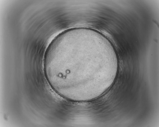 X0000102521288200808291748