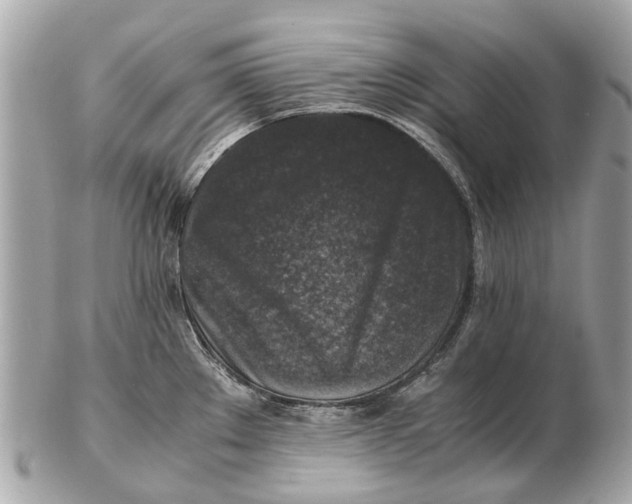 X0000102521289200808291748