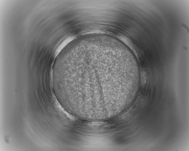 X0000102521290200808291748