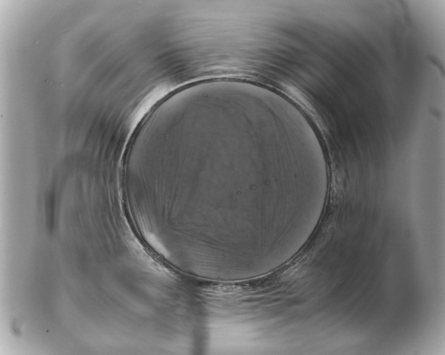 X0000102521291200808291748