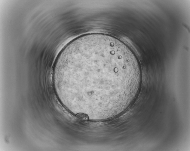 X0000102521292200808291748