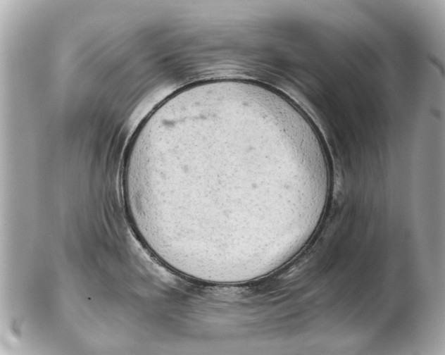 X0000102521293200808291748