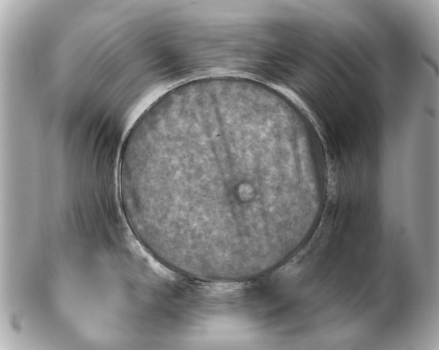 X0000102521294200808291748