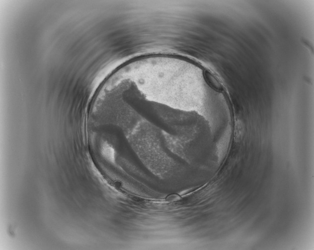 X0000102521295200808291748