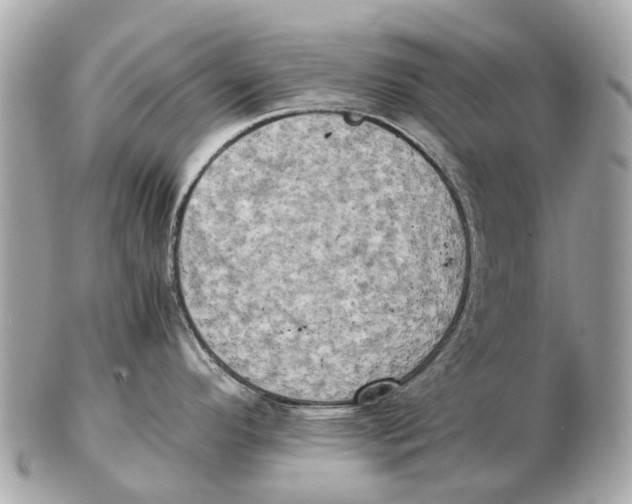 X0000102521296200808291748