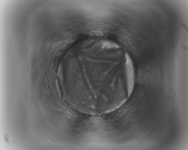 X0000102521297200808291747