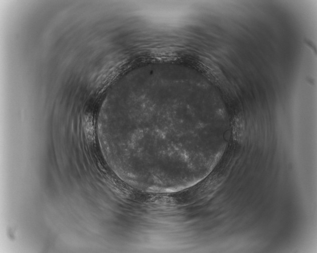 X0000102521298200808291747