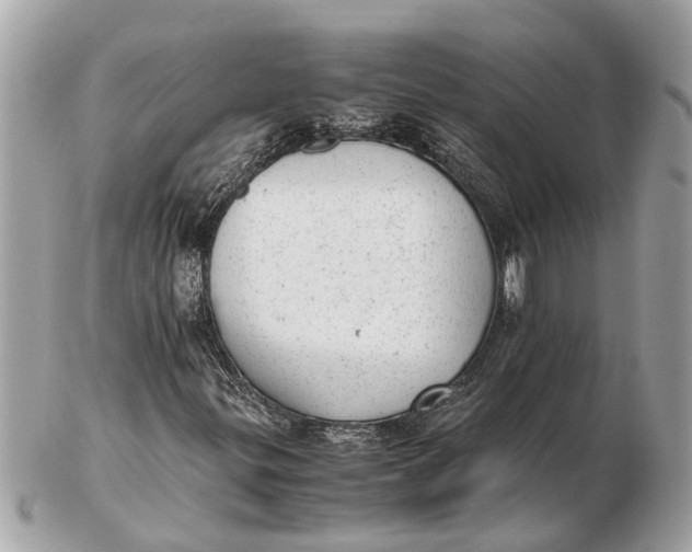 X0000102521299200808291747