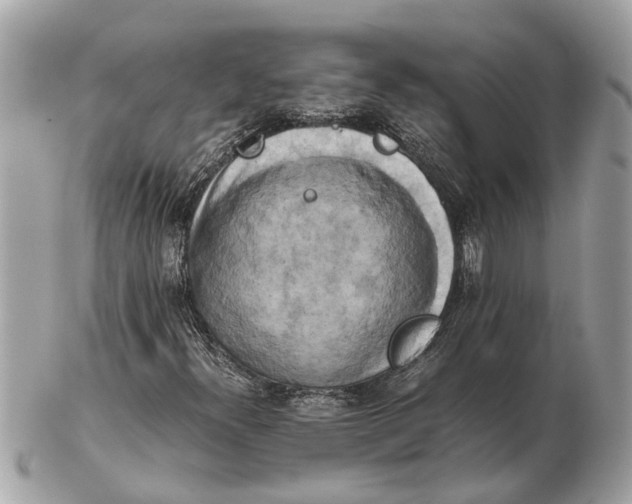 X0000102521300200808291748