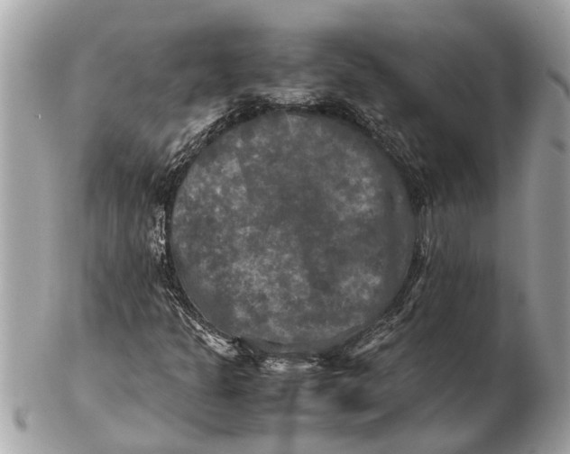 X0000102521301200808291748