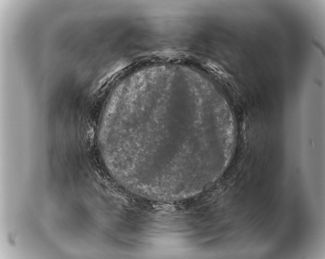 X0000102521302200808291748