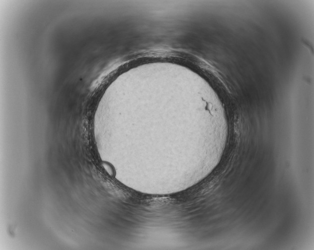 X0000102521304200808291748