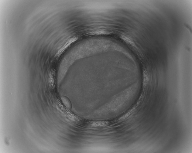 X0000102521305200808291748