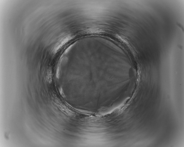 X0000102521306200808291748