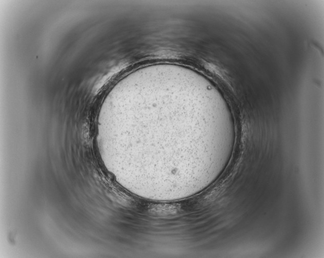 X0000102521307200808291748