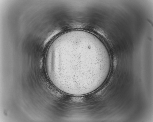 X0000102521309200808291748