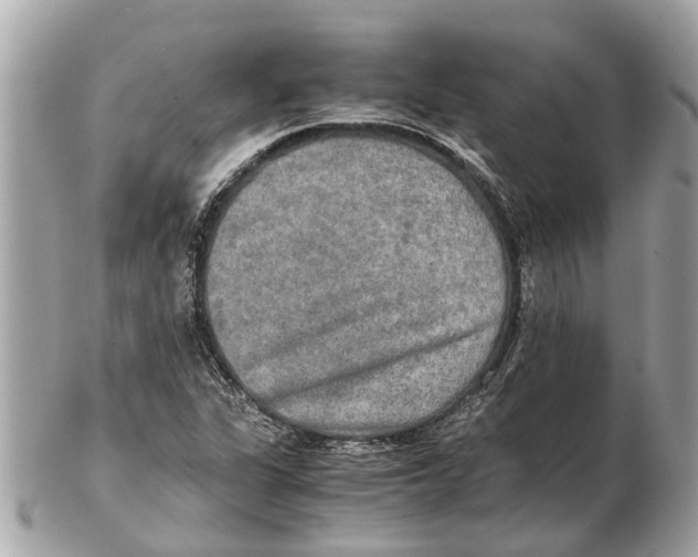 X0000102521311200808291748