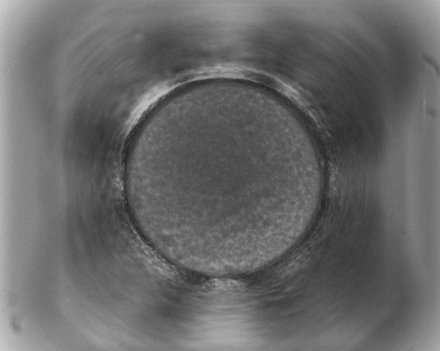 X0000102521312200808291748