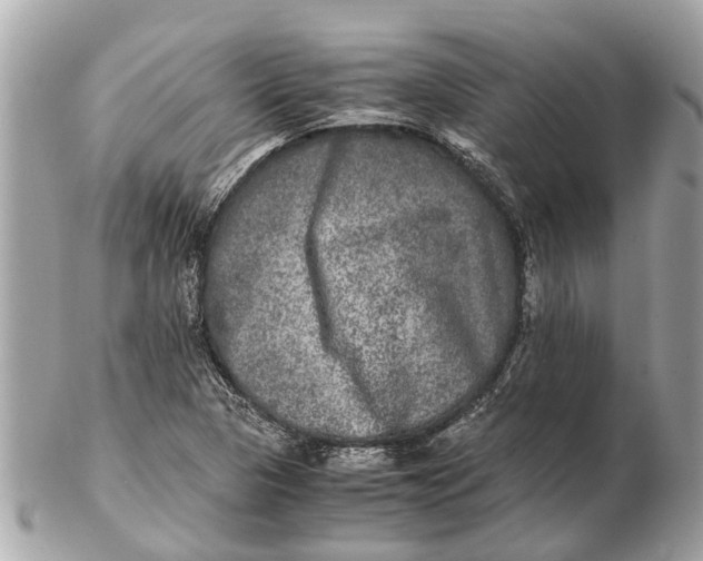 X0000102521313200808291748