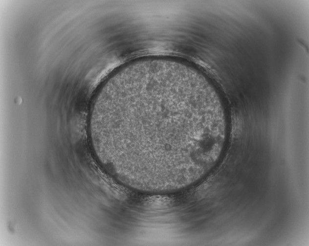 X0000102521314200808291748