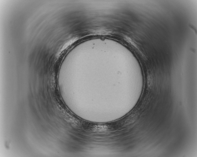 X0000102521315200808291748