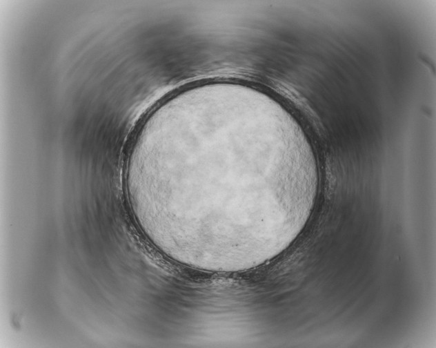 X0000102521316200808291748