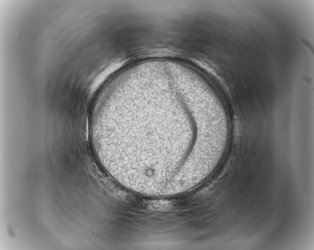 X0000102521317200808291748