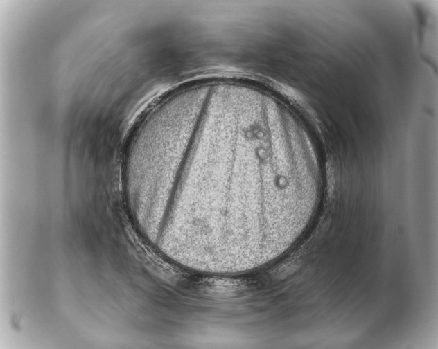 X0000102521318200808291748