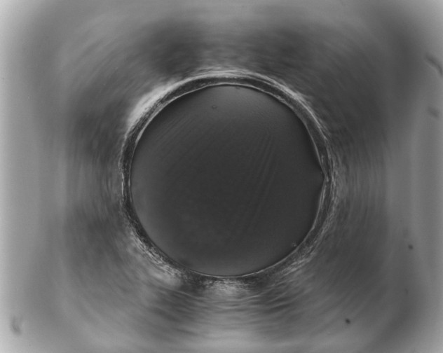 X0000102521319200808291748