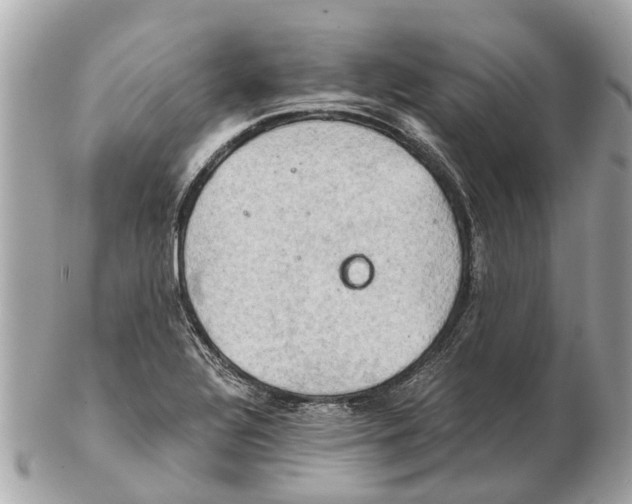 X0000102521320200808291748