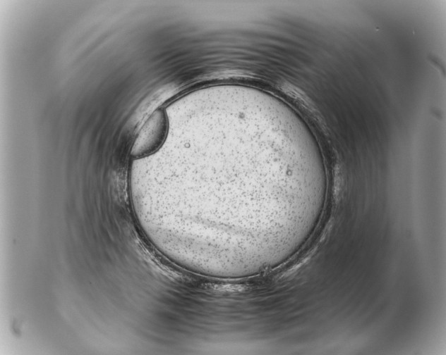 X0000102521321200808291748