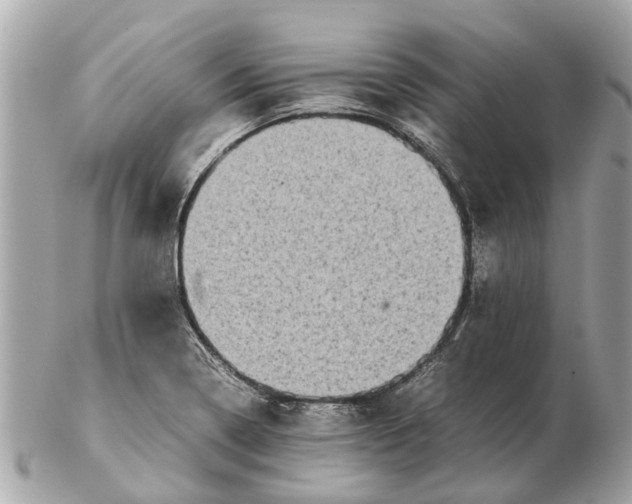 X0000102521322200808291748