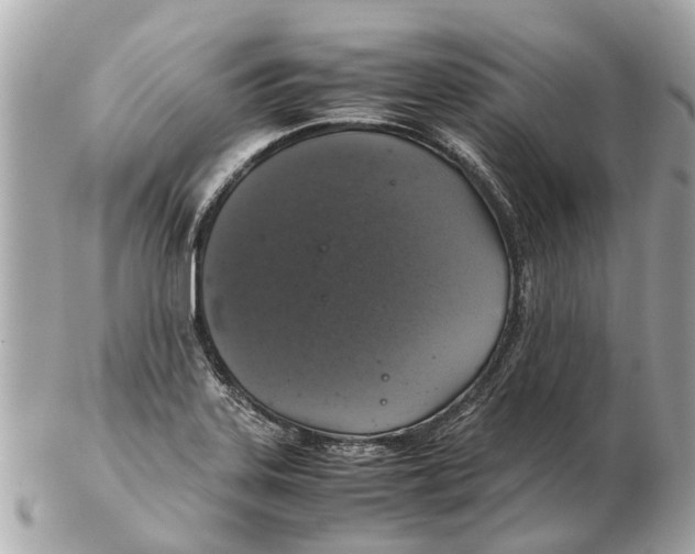 X0000102521323200808291748