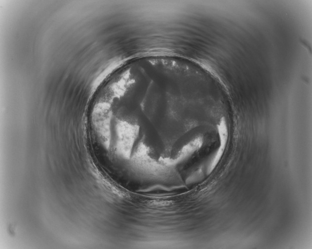 X0000102521325200808291748