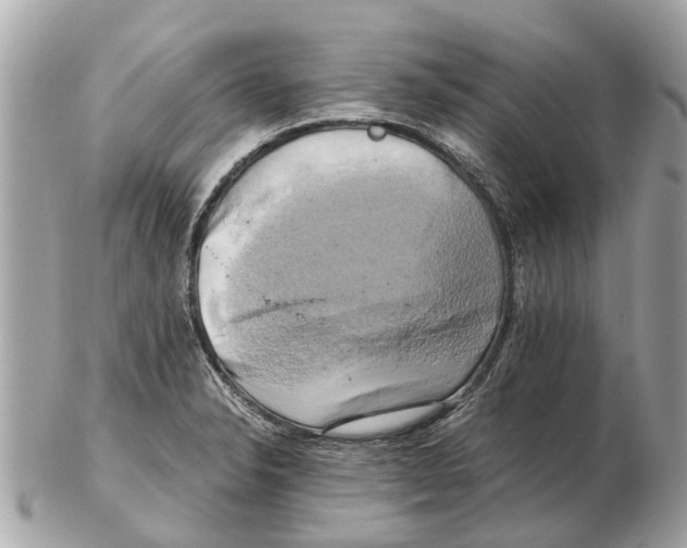 X0000102521326200808291748