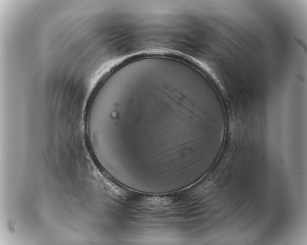 X0000102521327200808291748