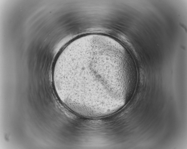 X0000102521328200808291748