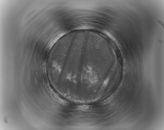 X0000102521329200808291748